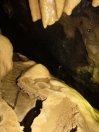 cueva de basconcillos del tozo(Burgos)