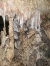 Cueva Comparada 1.10