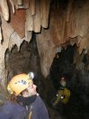 Cueva Comparada 1.8