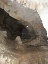 Cueva Comparada 1.4