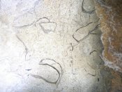 Cañuela 1.7