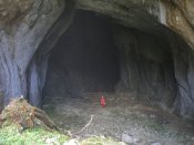 Cañuela 1.4