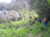 Cañuela 1.1