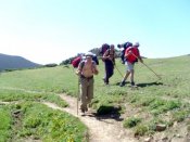 Camino del Sedo de Pedavejo.