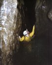 67 c 017