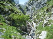 Cañón Jerreras