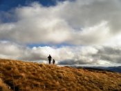 Cueto Arbás