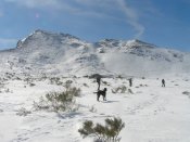 subida Correcillas-Sancenas