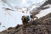 Alto Atlas - Marruecos