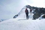 Pico el Lago - cocido