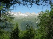 Argentière 4
